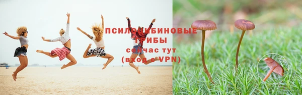 COCAINE Каменногорск