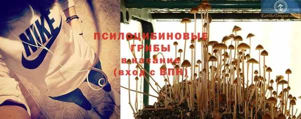 COCAINE Каменногорск